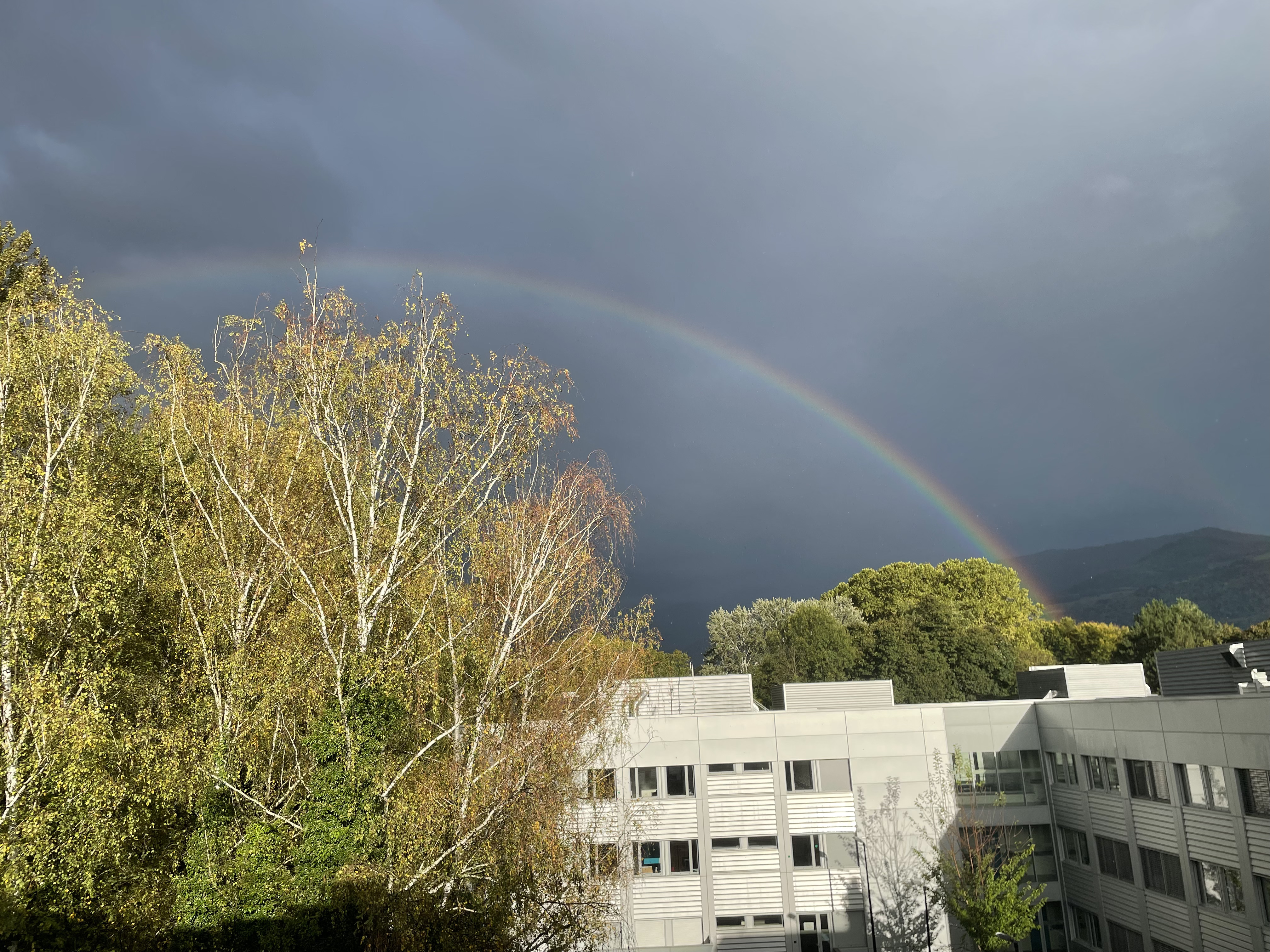 Rainbow